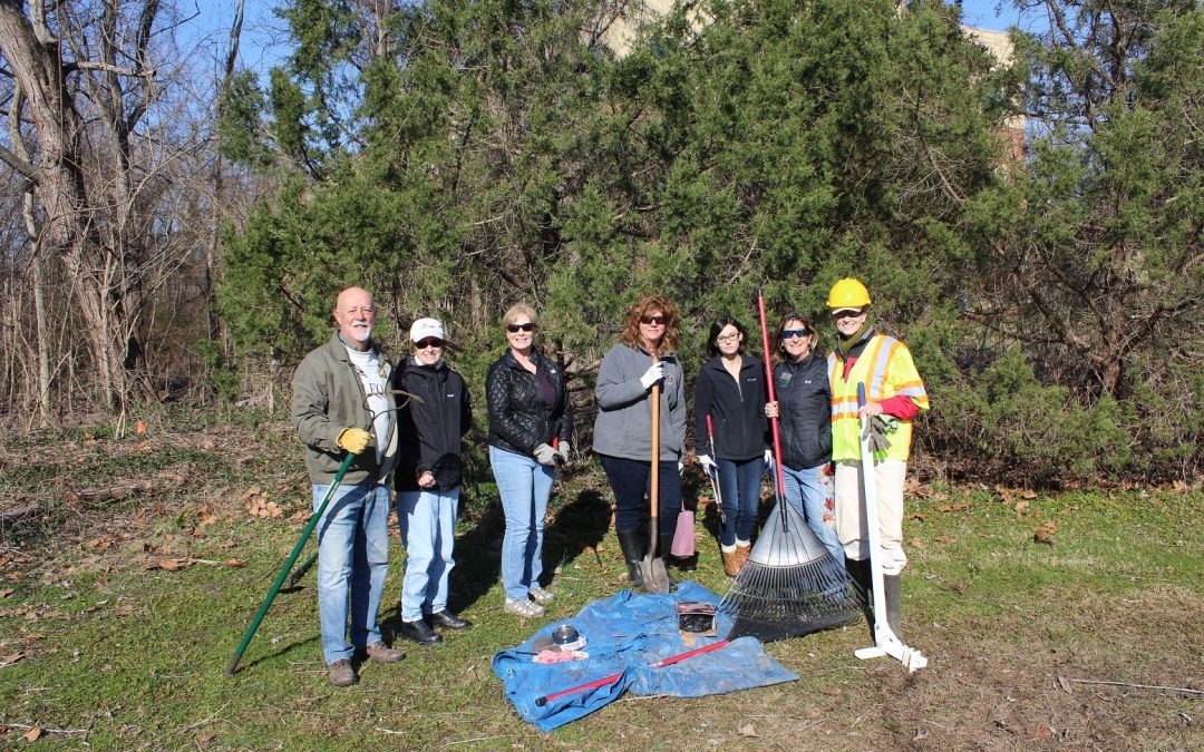 Community Steps Up to Restore Habitat and Remove Invasive Plants at Bay Street Ponds