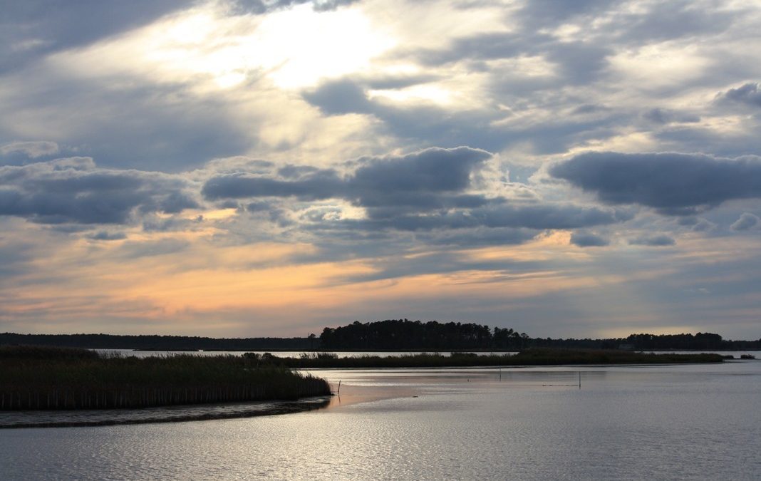 Blackwater Refuge