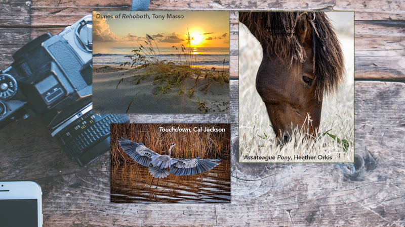 Shop for Photography