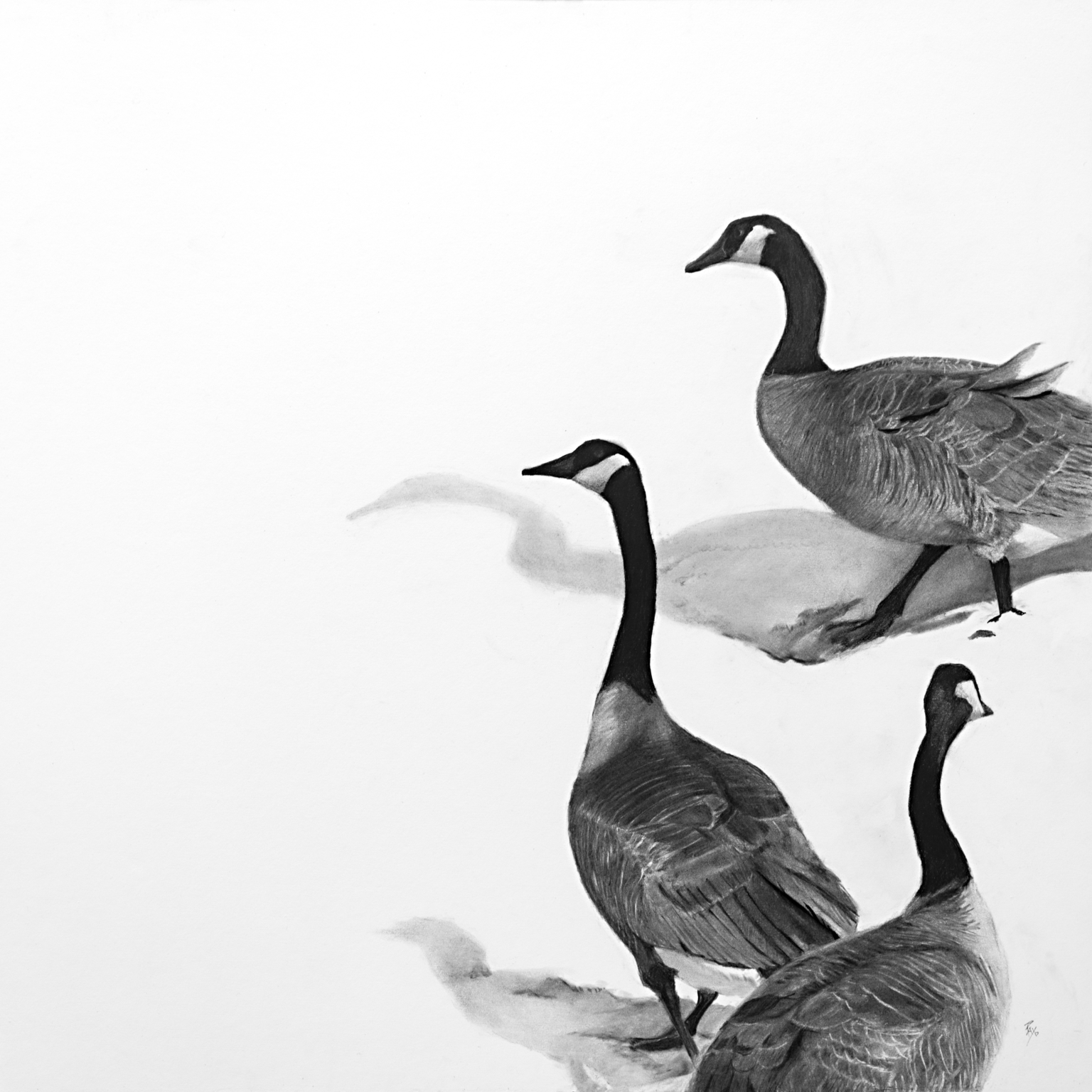 Ray Brown Silly-Geese-1536x1536
